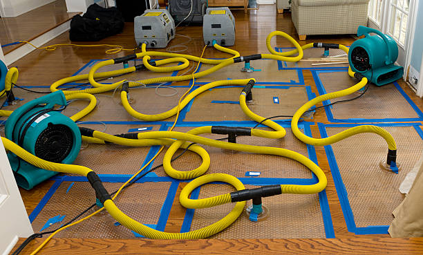 Professional Structural Drying And Dehumidification technician working in Pinewood, FL